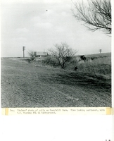 0201c. Paul Roenfeldt Farm 