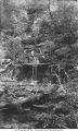 Gorge in Trenton Limestone at Pinney's Spring, Iowa, late 1890s or early 1900s
