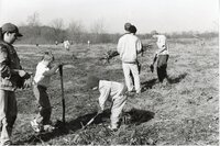 1999  Boy Scouts plant trees