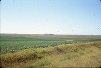 Mary Kay Williams conservation progress.