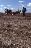 No-till and residue test in sod.