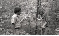 1970s  Examination of leaves on a tree in the woods