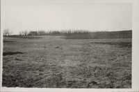 Contour plowing &amp; waterways on Sam Carpenter's farm.