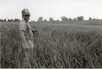 Man with hat, sunglasses, and beard in grassy field