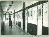 Woman views displays in Art Building, the University of Iowa, 1930s?