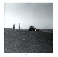 Terraces on Robert Wiese cropland
