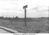 Stacyville, Iowa. CV