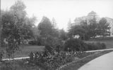 Summer planting