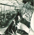 Student inspecting a flower in greenhouse, The University of Iowa, 1930s
