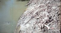 1993 flood and Flint River debris removal