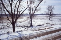No-till field with winter snow cover.