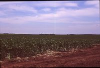 Waterway Construction on the Hummel Farm.