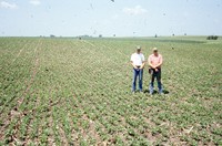 Quad District Award winners Steve and Tim Lundsgaard show off their no-till, drilled bean field.