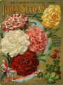 Iowa Seed Company Catalog 1905