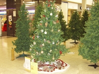 2005 Boulevard of decorated Christmas trees