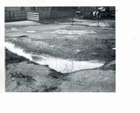 John Jepsen feedlot pollution control