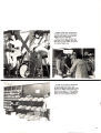 1981 Yearbook