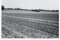 1970s Field after harvest