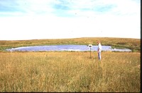 Wetland on the Seeman Farm.