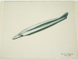 Wingless aircraft