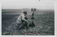Kneeling woman with arm around dog checking newly planted pine trees
