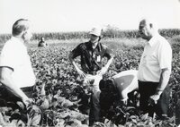 1970s Four men stand in field on no-till tour