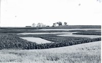 Paul Hansen farm, 1961