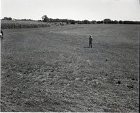 Farmer Stands in a Pasture Close to Corn Ffield