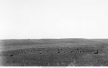 Moraine northwest of Swaledale, Iowa, late 1890s or early 1900s