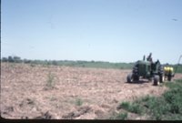 Photograph Collection Of Mrs. Lionel Evans Farm 