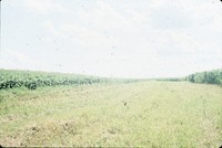 Gary Otto farm.
