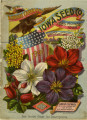 Iowa Seed Company Catalog 1901