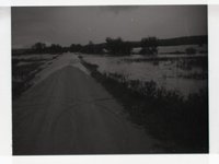 Unidentified Black and White Photo Negatives Showing Rural Scenes