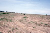 Photograph Collection Of A Man On A Tractor 