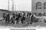 Men digging trenches south of Armory, The University of Iowa, 1917
