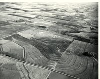 Terraces, 1966