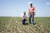 Quad District Award winners Steve and Tim Lundsgaard show off their no-till, drilled bean field.