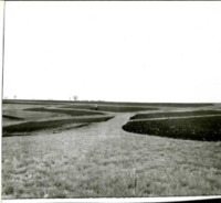 Farm of Ross Riggs