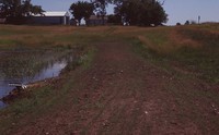 Wetland Project on Jeff Morrison's Farm.