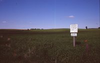 Larry Braby's Farm Before and After a Wetland Construction Project.