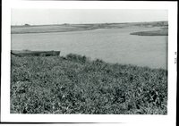 Photograph Collection of Carlson Pond, 1969