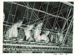 Engineering students working on airplane frame, The University of Iowa, August 1941