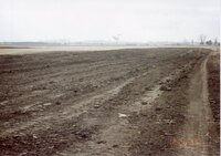 1995 Terraces on Marvin Lange's farm.