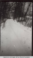 Lane in woods