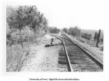 Hancock Jct, IA. CRIP