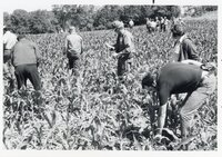1978 No-till tours