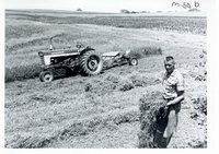 Floyd Peters meadow strips, 1967