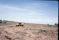 Photograph Collection Of Mrs. Lionel Evans Farm 