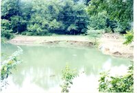 Smith Creek