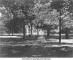 Pentacrest central walk in autumn, The University of Iowa, between 1911 and 1916